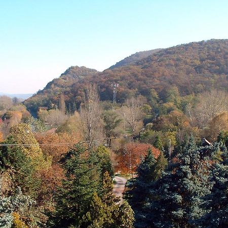 Vadregeny Panzio Bed and Breakfast Έστεργκομ Εξωτερικό φωτογραφία