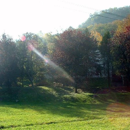 Vadregeny Panzio Bed and Breakfast Έστεργκομ Εξωτερικό φωτογραφία