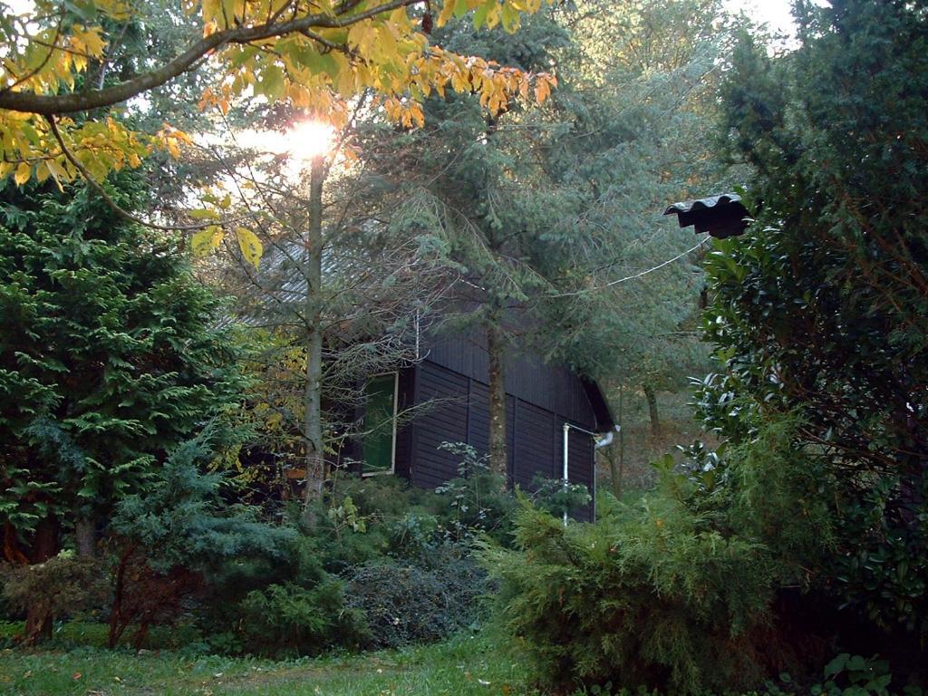 Vadregeny Panzio Bed and Breakfast Έστεργκομ Δωμάτιο φωτογραφία