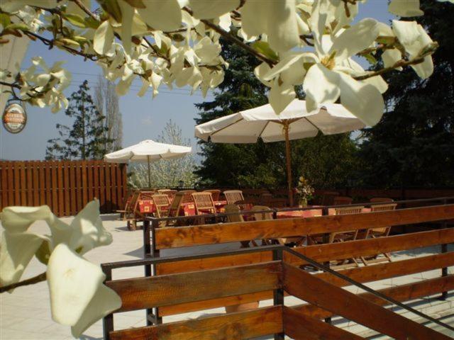 Vadregeny Panzio Bed and Breakfast Έστεργκομ Εξωτερικό φωτογραφία