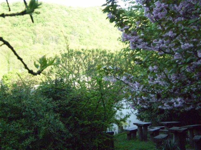 Vadregeny Panzio Bed and Breakfast Έστεργκομ Εξωτερικό φωτογραφία